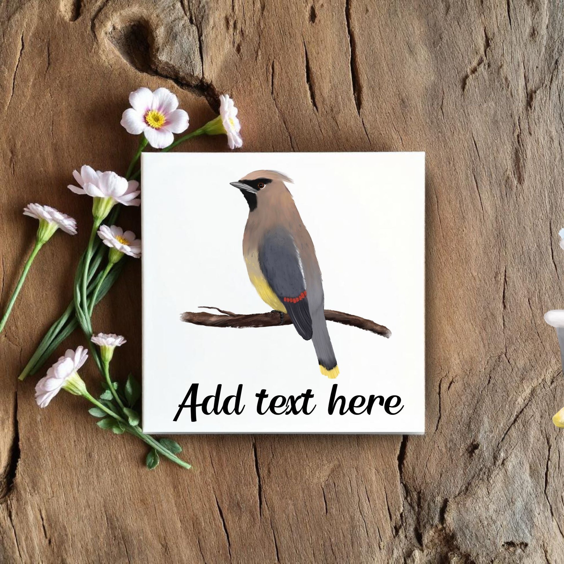 Cedar Waxwing Ceramic Tile - MerikaArt