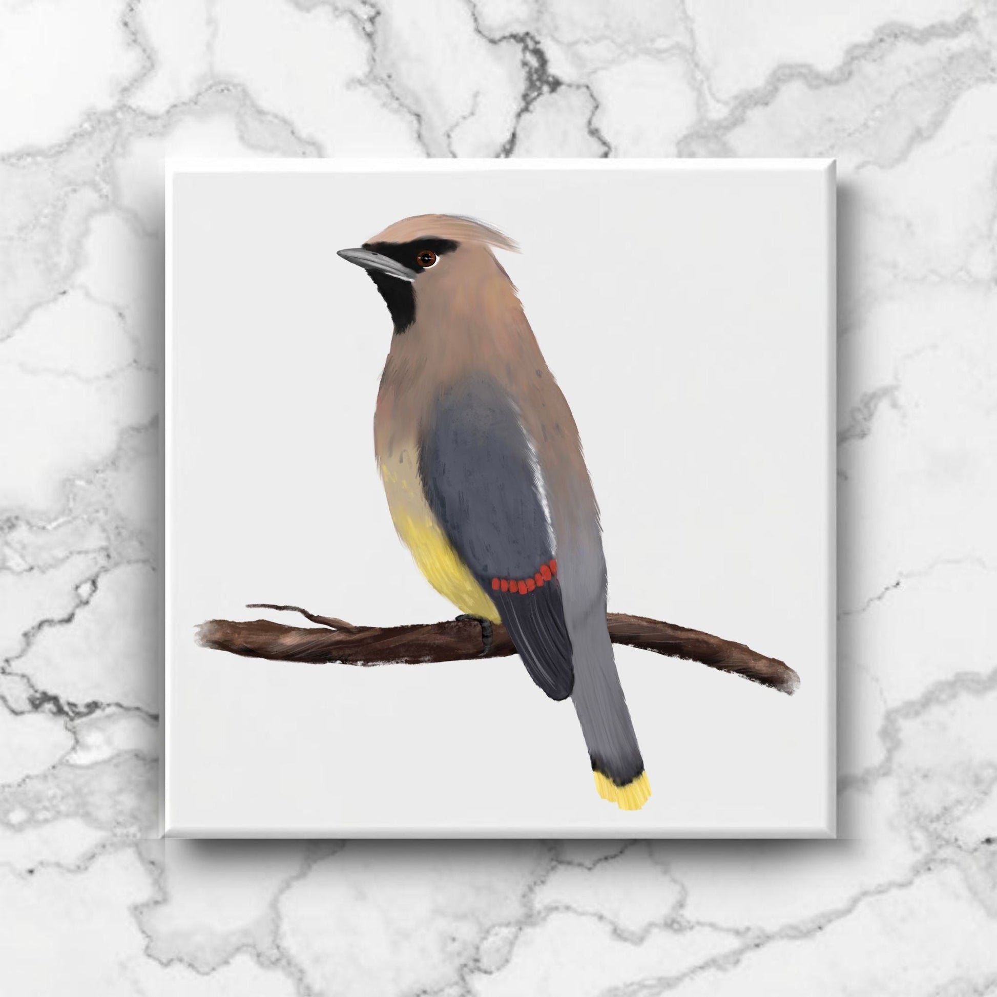 Cedar Waxwing Ceramic Tile - MerikaArt