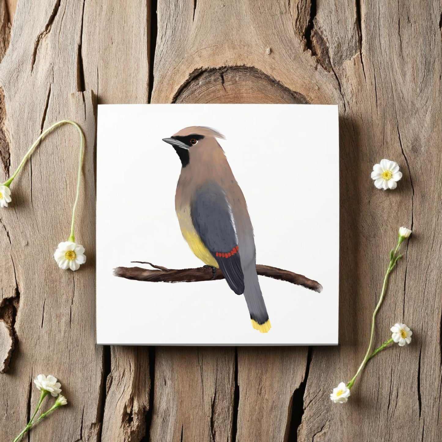 Cedar Waxwing Ceramic Tile - MerikaArt