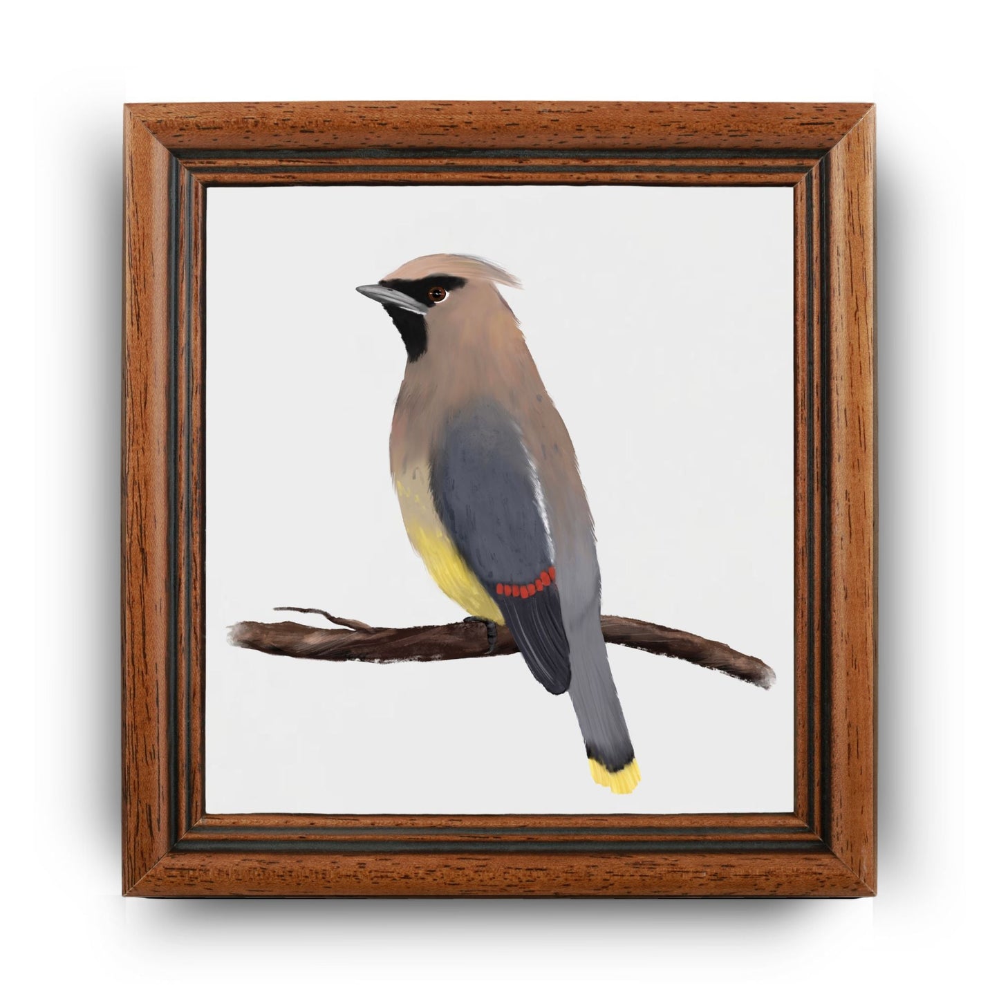 Cedar Waxwing Ceramic Tile - MerikaArt