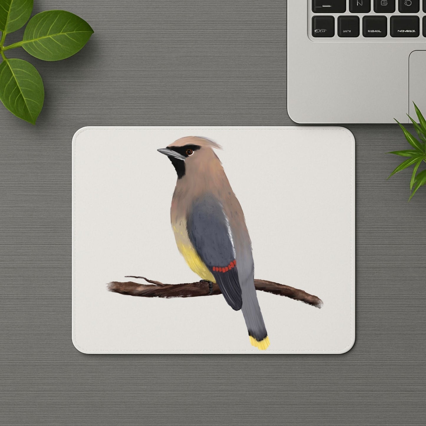 Cedar Waxwing Mousepad - MerikaArt