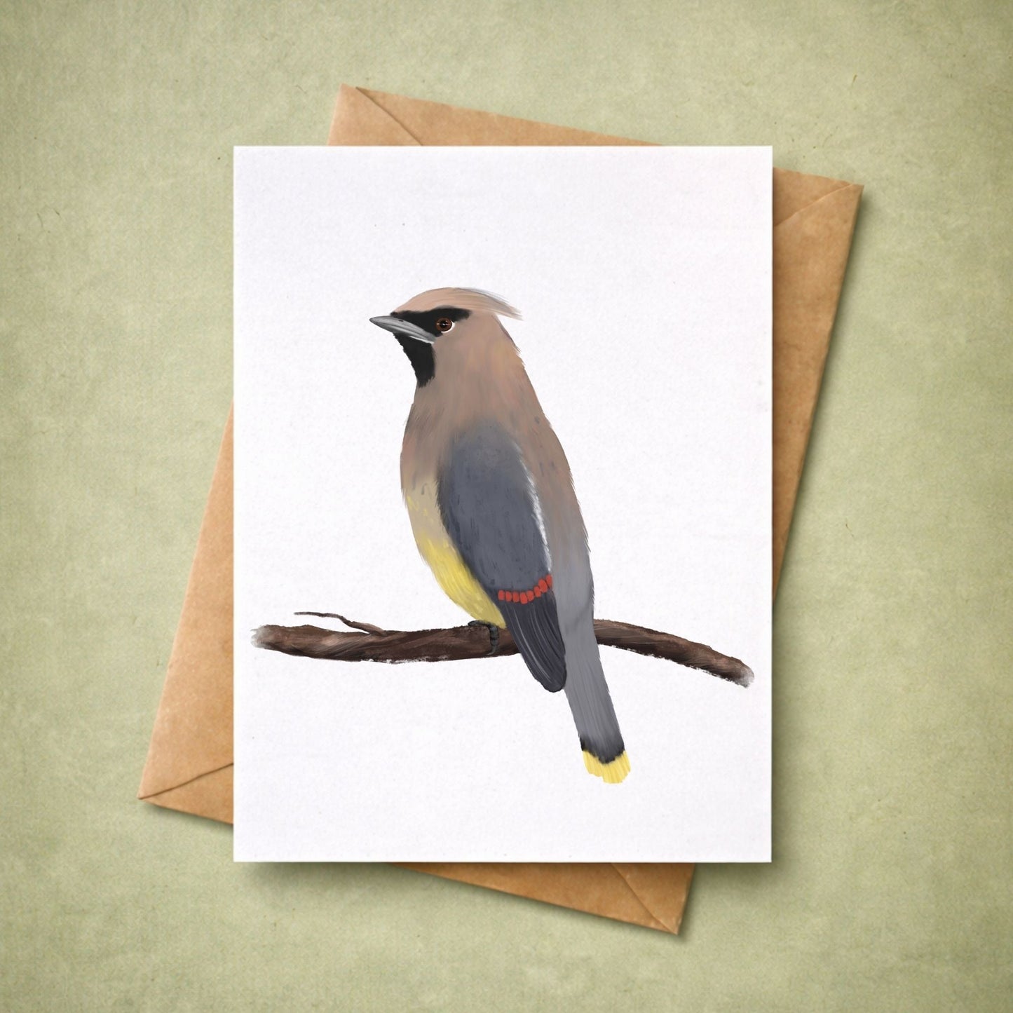 Cedar Waxwing Postcard - MerikaArt