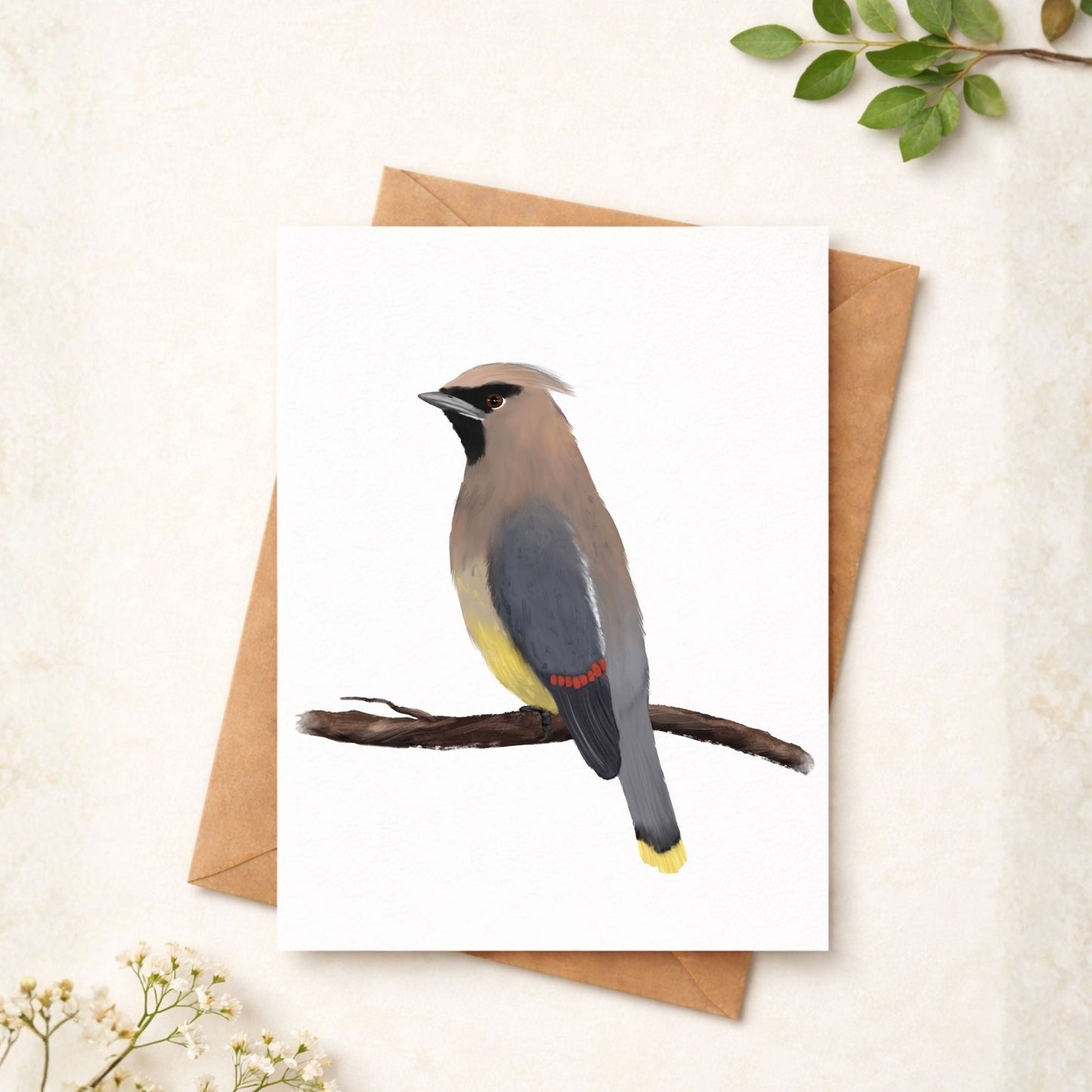 Cedar Waxwing Postcard - MerikaArt