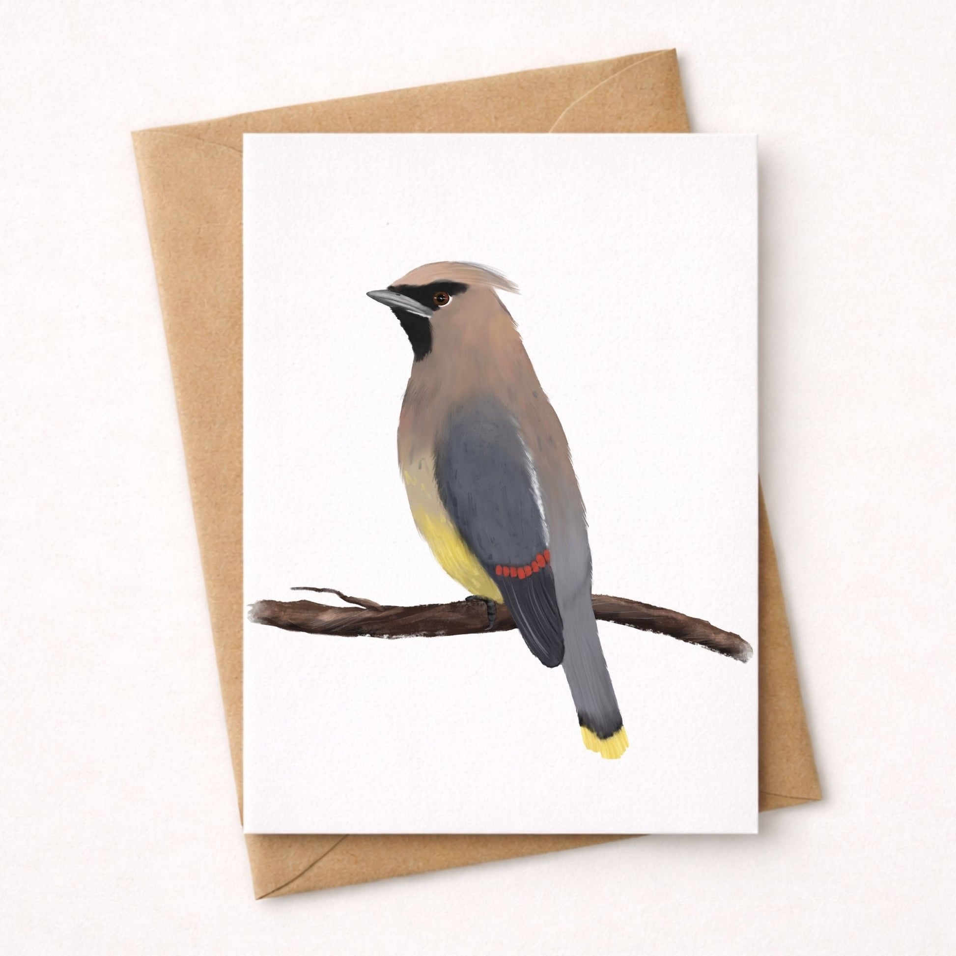 Cedar Waxwing Postcard - MerikaArt
