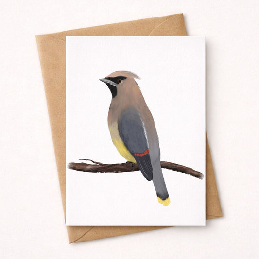 Cedar Waxwing Postcard - MerikaArt