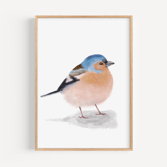 Chaffinch Art Print – Soft and Vibrant Bird Decor - MerikaArt