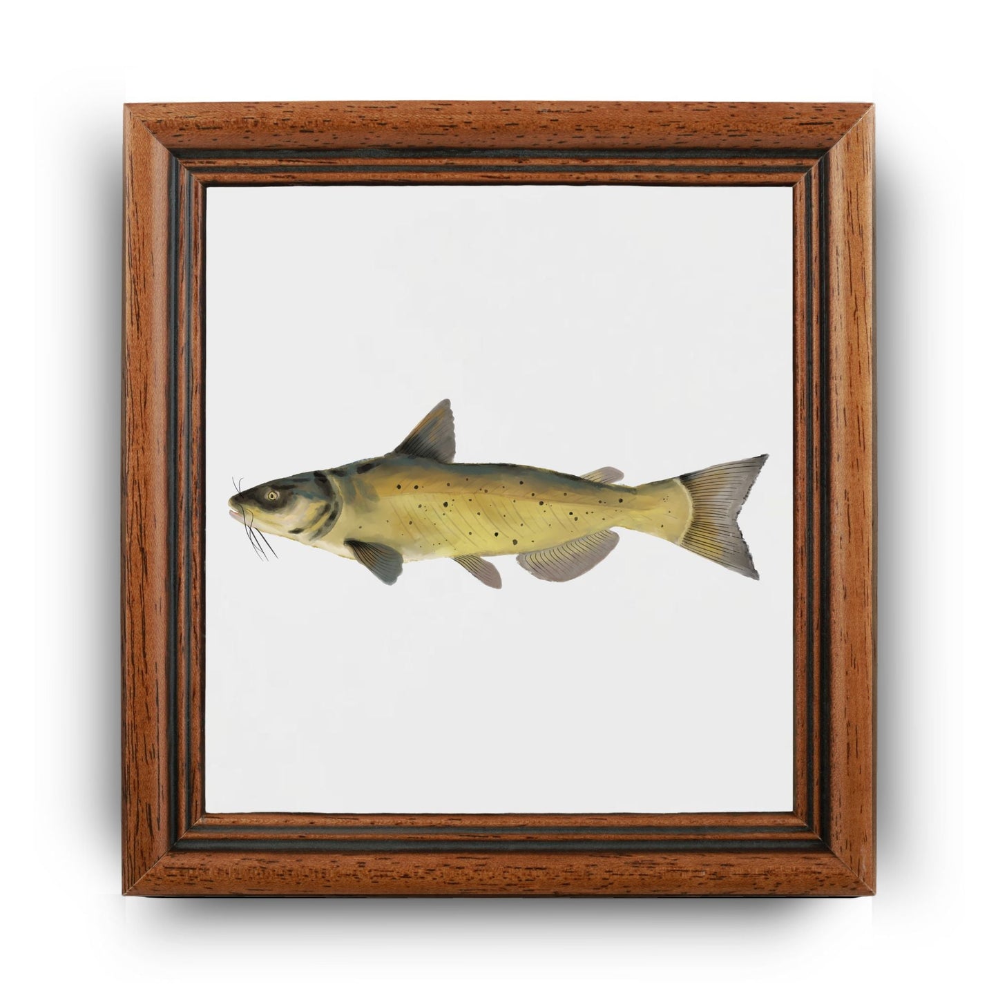 Channel Catfish Ceramic Tile – Handcrafted Aquatic Decor - MerikaArt