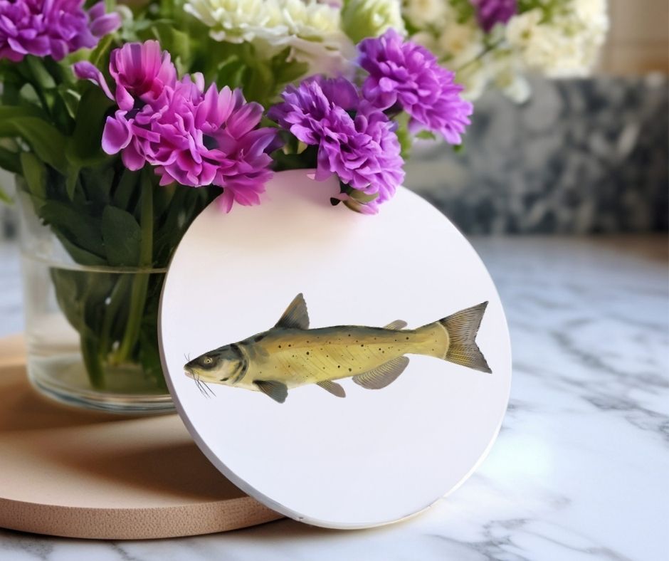 Chum Salmon Ceramic Coaster - MerikaArt
