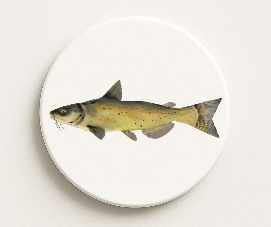 Chum Salmon Ceramic Coaster - MerikaArt