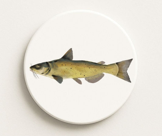 Chum Salmon Ceramic Coaster - MerikaArt