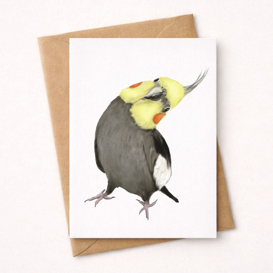 Cockatiel Postcard - MerikaArt