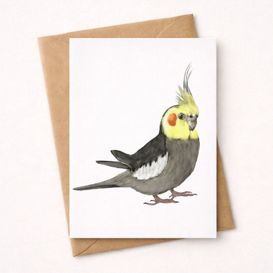 Cockatiel Postcard - MerikaArt