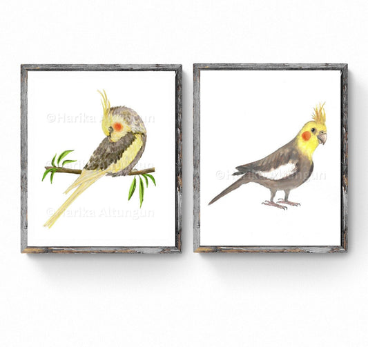 Cockatiel Set of 2 Print, Pet Memorial Painting, Parrot Bird Print, Sleeping Parrot Artwork, Living Room Wall Art, Bird Mom Dad Gift - MerikaArt