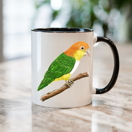 Colorful Caique Parrot Ceramic Coffee Mug - MerikaArt