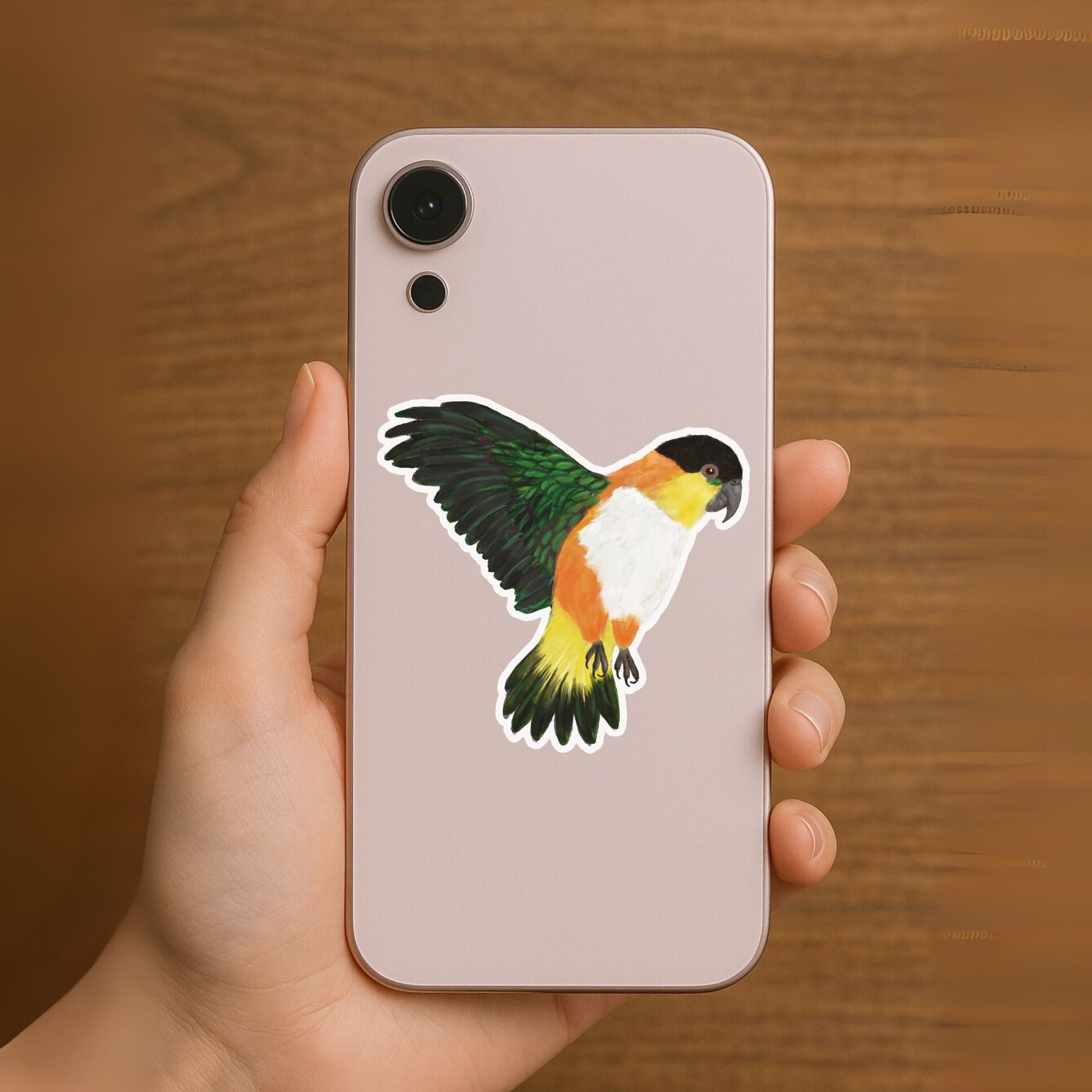 Colorful Caique Parrot Sticker - MerikaArt