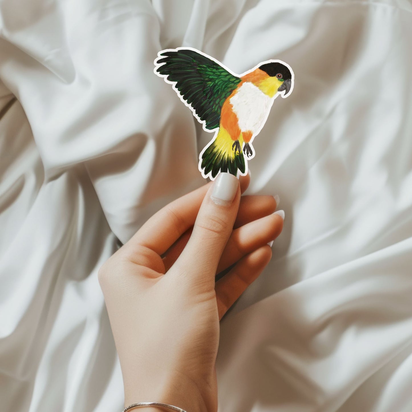 Colorful Caique Parrot Sticker - MerikaArt