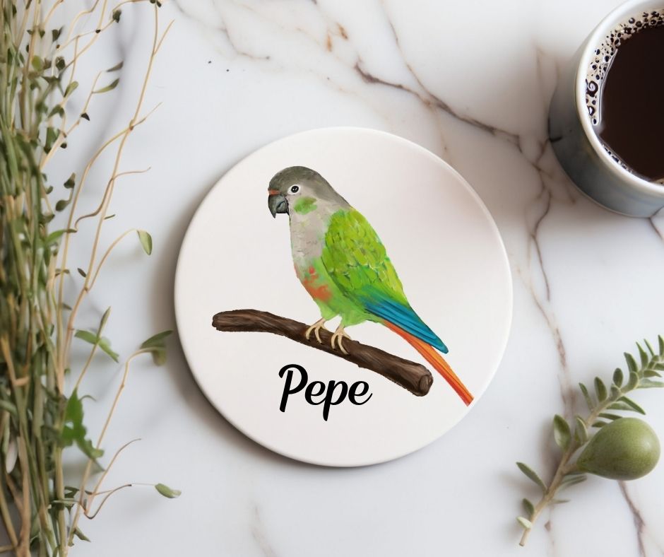Colorful Parrot on Branch Ceramic Coaster - MerikaArt