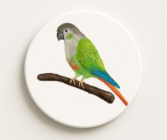Colorful Parrot on Branch Ceramic Coaster - MerikaArt