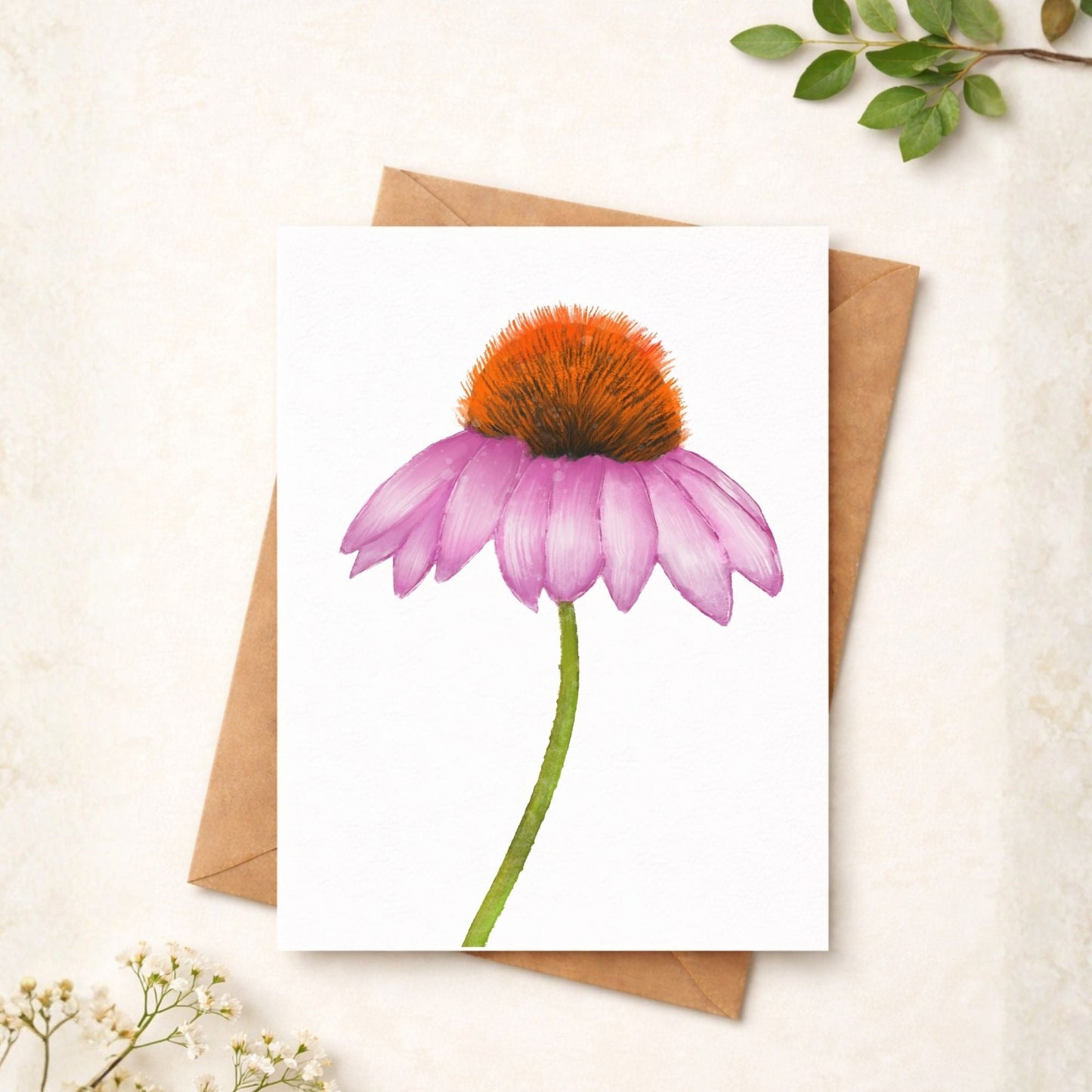 Coneflower Postcard - MerikaArt