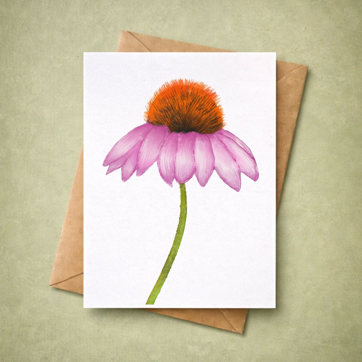 Coneflower Postcard - MerikaArt