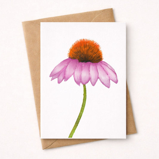 Coneflower Postcard - MerikaArt
