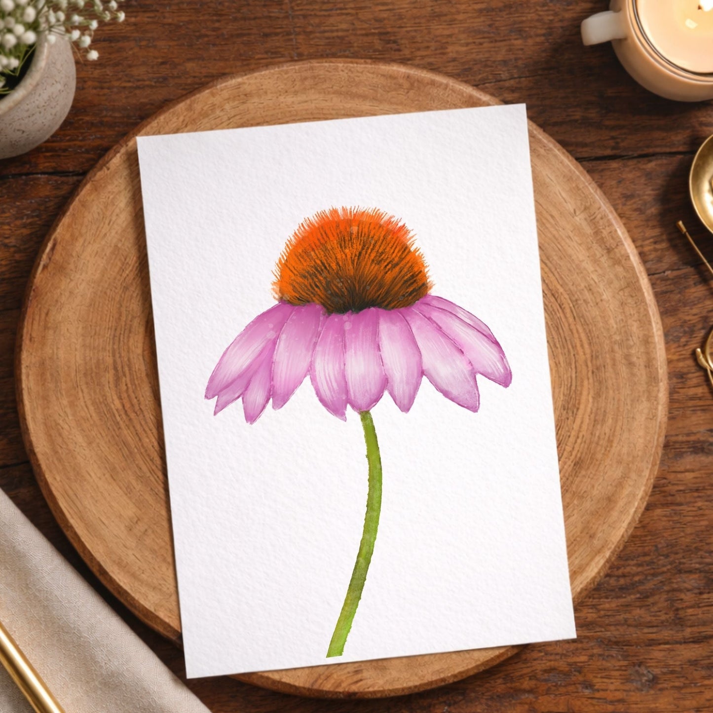 Coneflower Postcard - MerikaArt