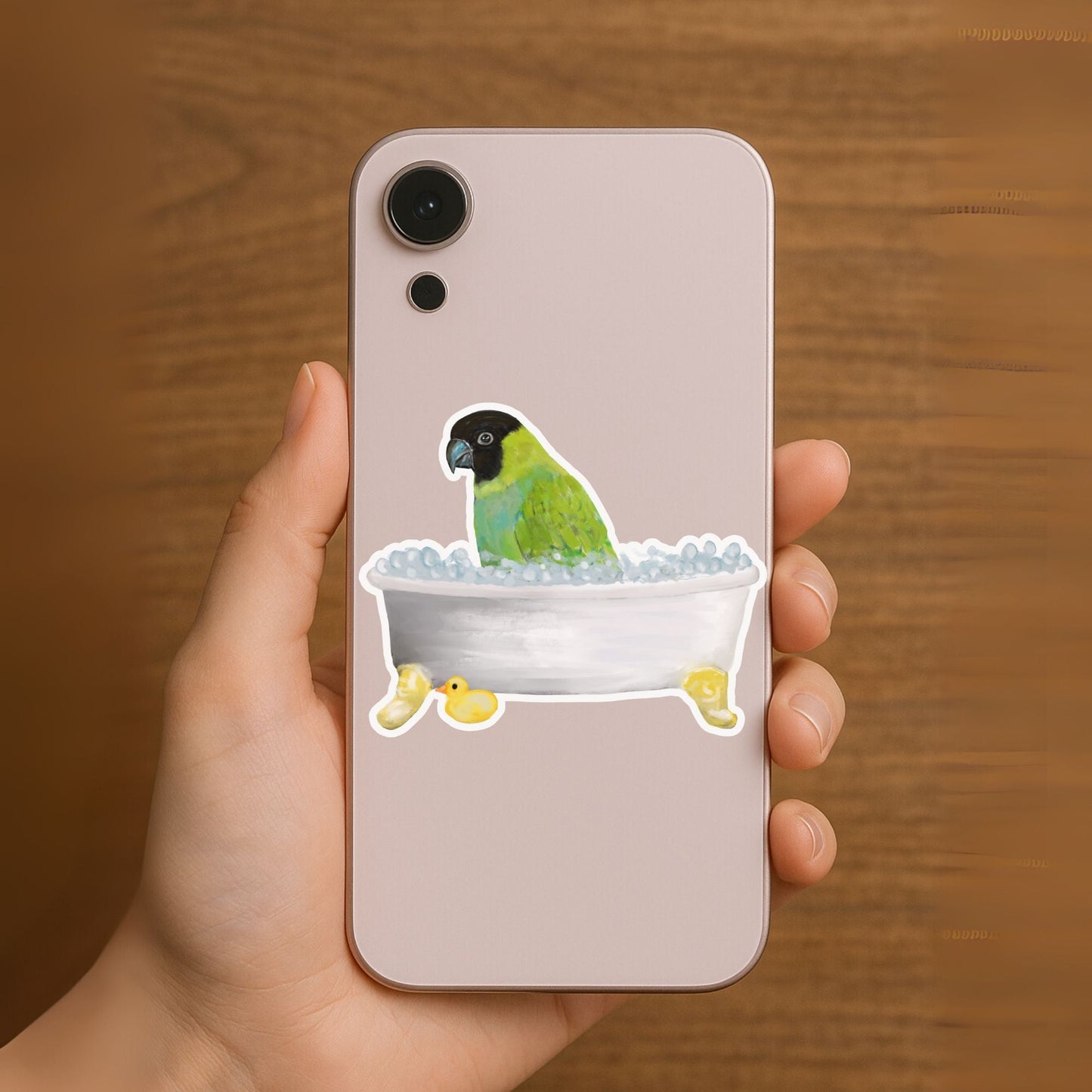 Conure In Bathtub Vinly Sticker - MerikaArt