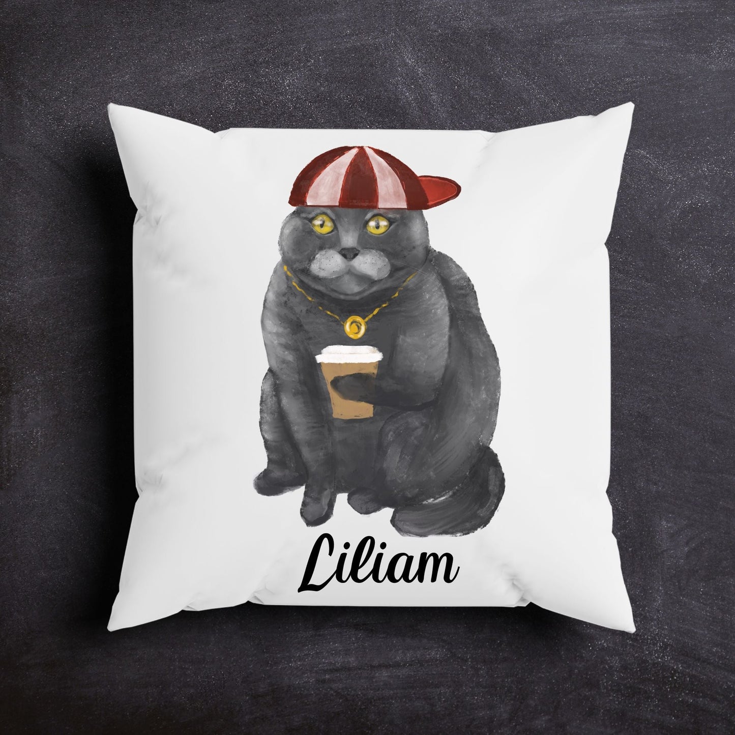 Cool Gray Cat Pillow - MerikaArt