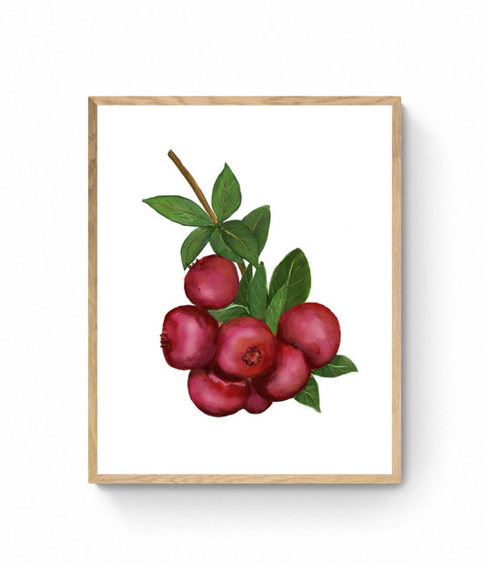 Cranberry Art Print, Cranberry Wall Art, Kitchen Wall Hanging, Dining Room Decor, Berry Painting, Fruit Illustration, Farmhouse Wall Decor - MerikaArt