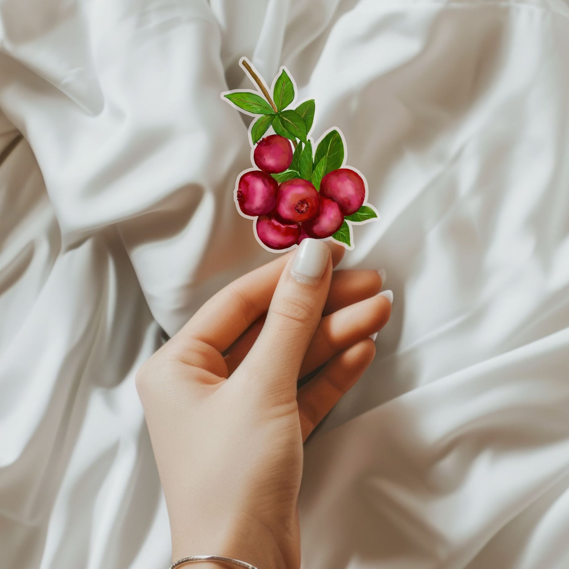 Cranberry Cluster Sticker - MerikaArt