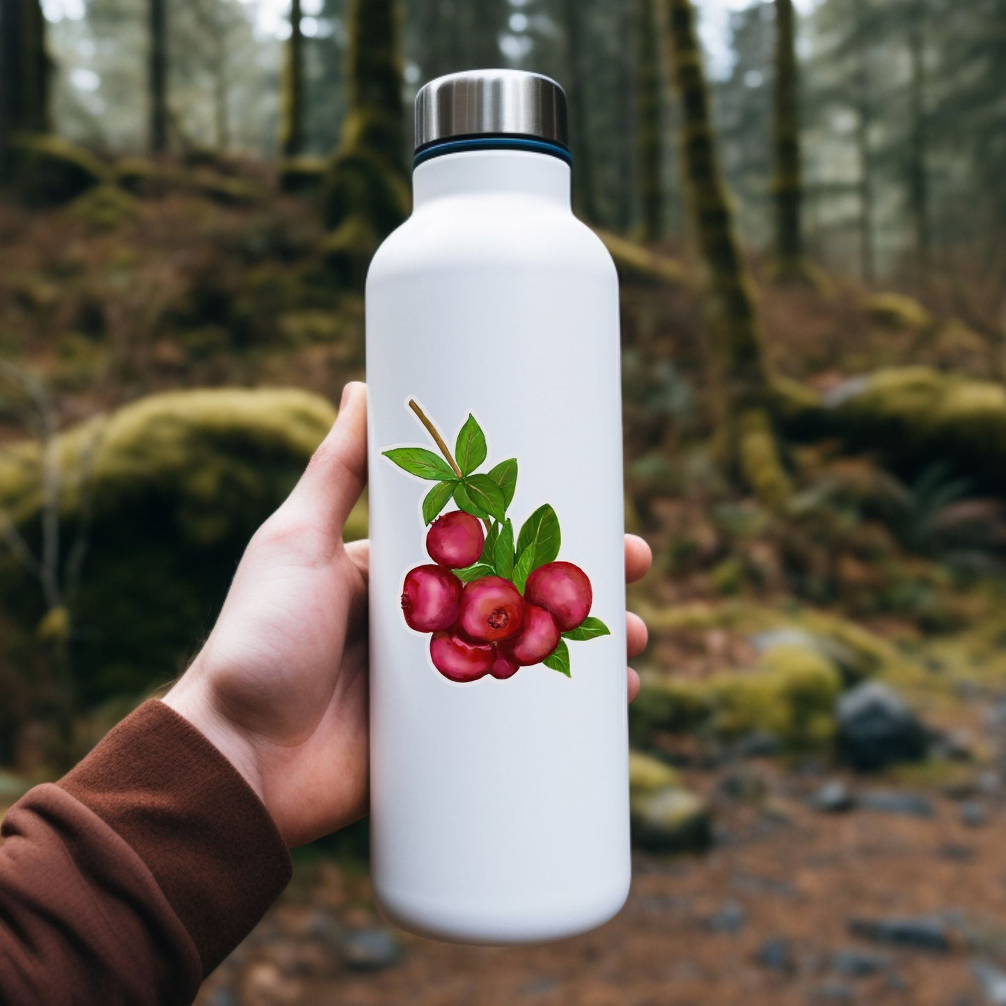 Cranberry Cluster Sticker - MerikaArt