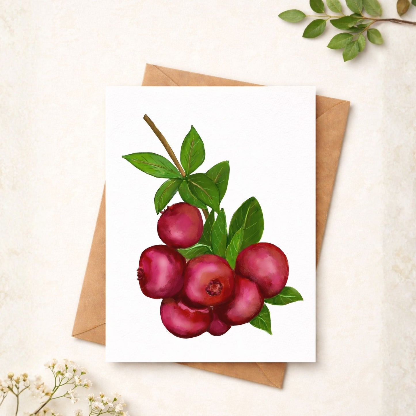 Cranberry Postcard - MerikaArt