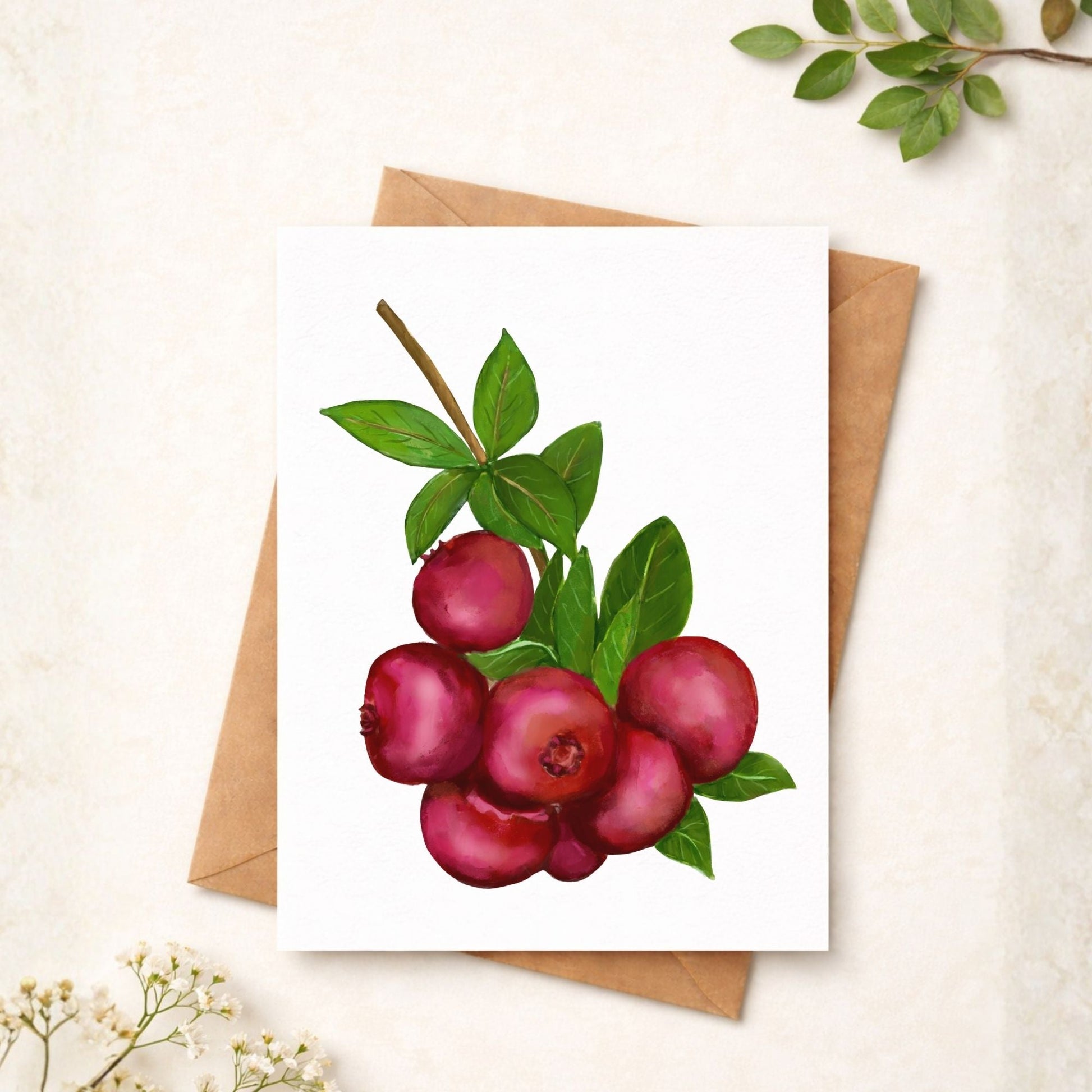 Cranberry Postcard - MerikaArt