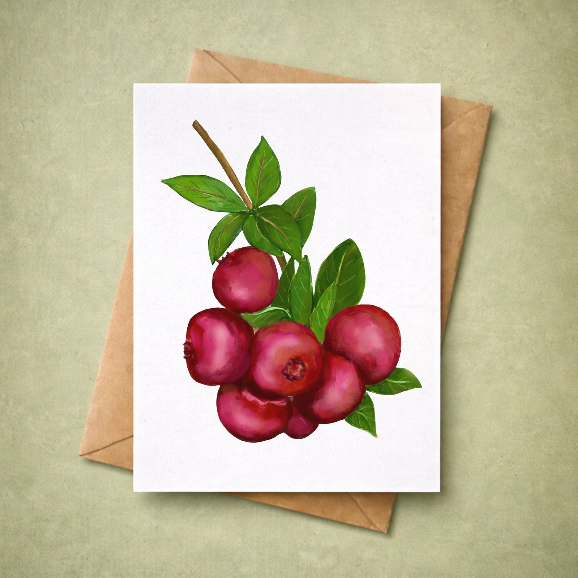 Cranberry Postcard - MerikaArt