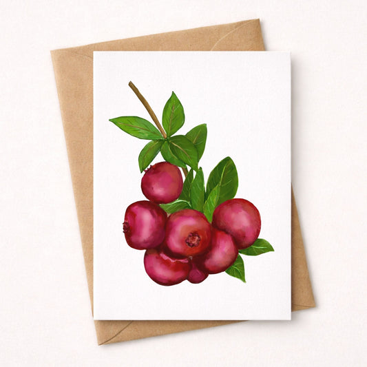 Cranberry Postcard - MerikaArt
