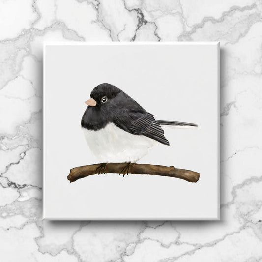 Dark - Eyed Junco Ceramic Tile – Handcrafted Bird Art - MerikaArt