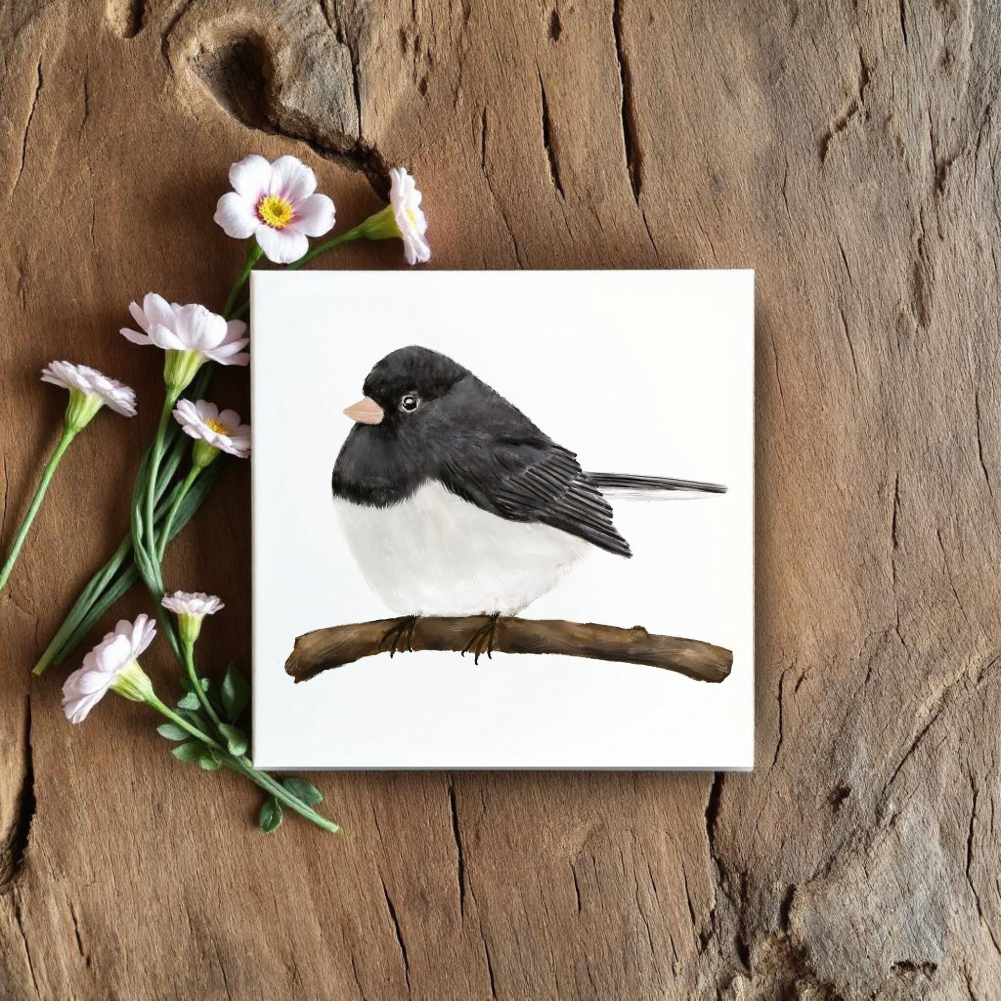 Dark - Eyed Junco Ceramic Tile – Handcrafted Bird Art - MerikaArt