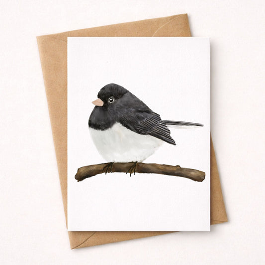 Dark - eyed Junco Postcard - MerikaArt