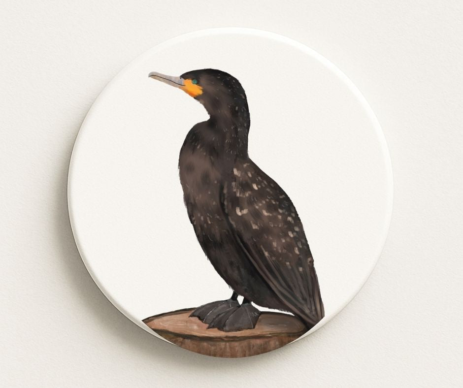Double - Crested Cormorant Ceramic Coaster - MerikaArt