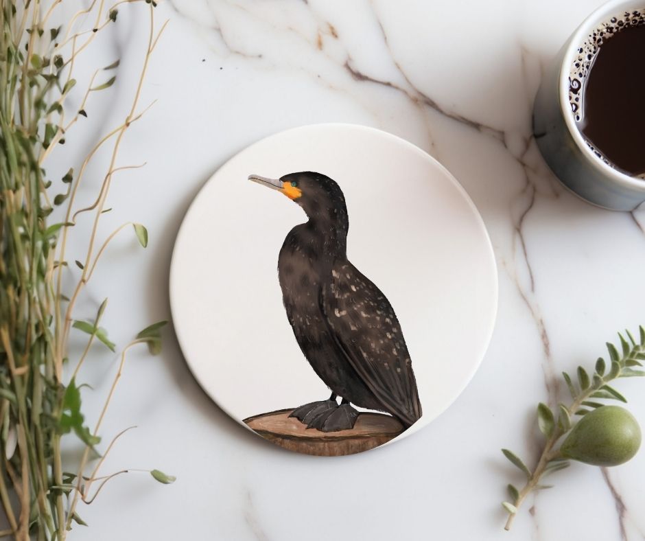 Double - Crested Cormorant Ceramic Coaster - MerikaArt