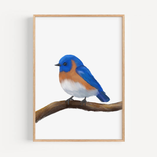Eastern Bluebird Art Print – Charming Bird Decor for Nature Lovers - MerikaArt