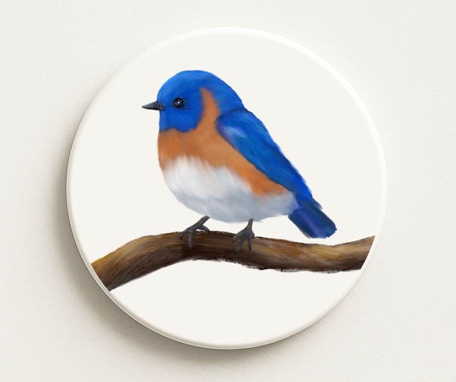 Eastern Bluebird Ceramic Coaster - MerikaArt