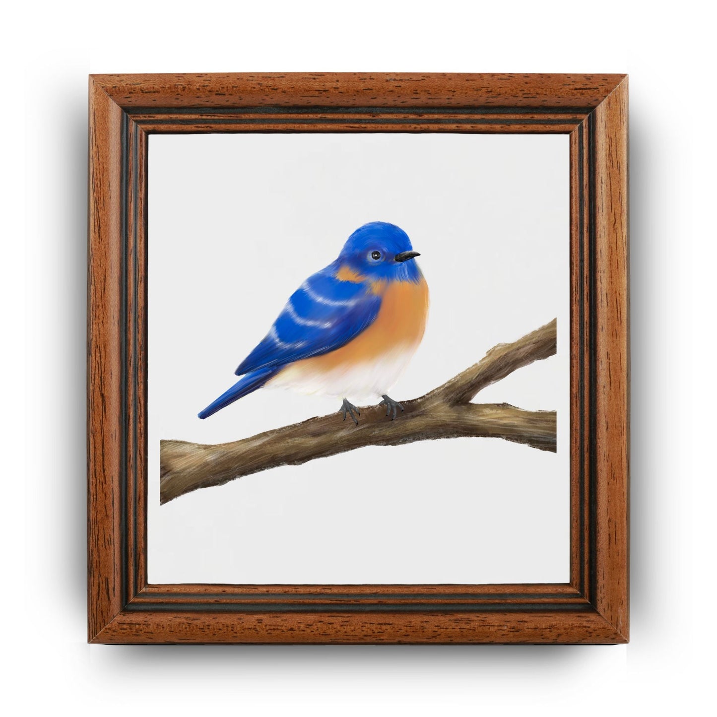 Eastern Bluebird Ceramic Tile – Unique Handcrafted Artwork - MerikaArt