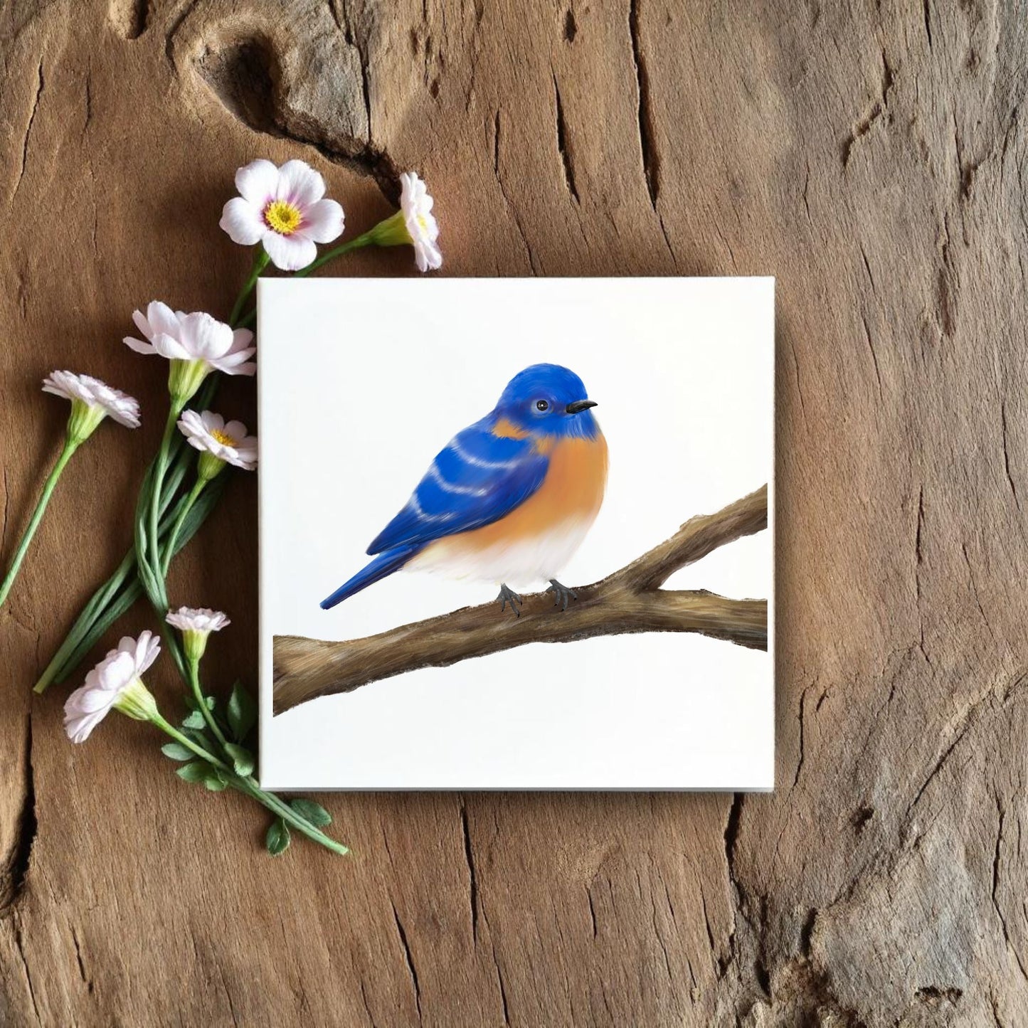 Eastern Bluebird Ceramic Tile – Unique Handcrafted Artwork - MerikaArt