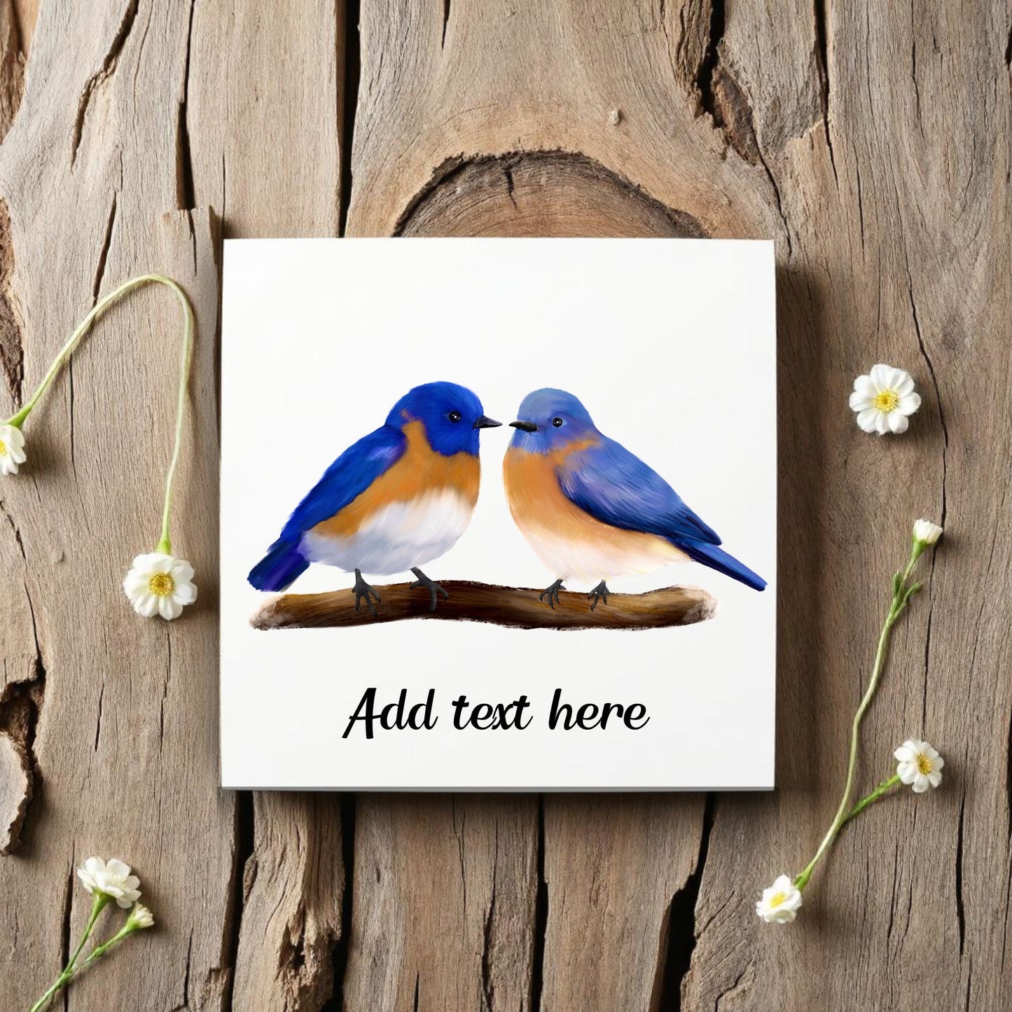 Eastern Bluebird Couple Ceramic Tile – Handcrafted Bird Art - MerikaArt