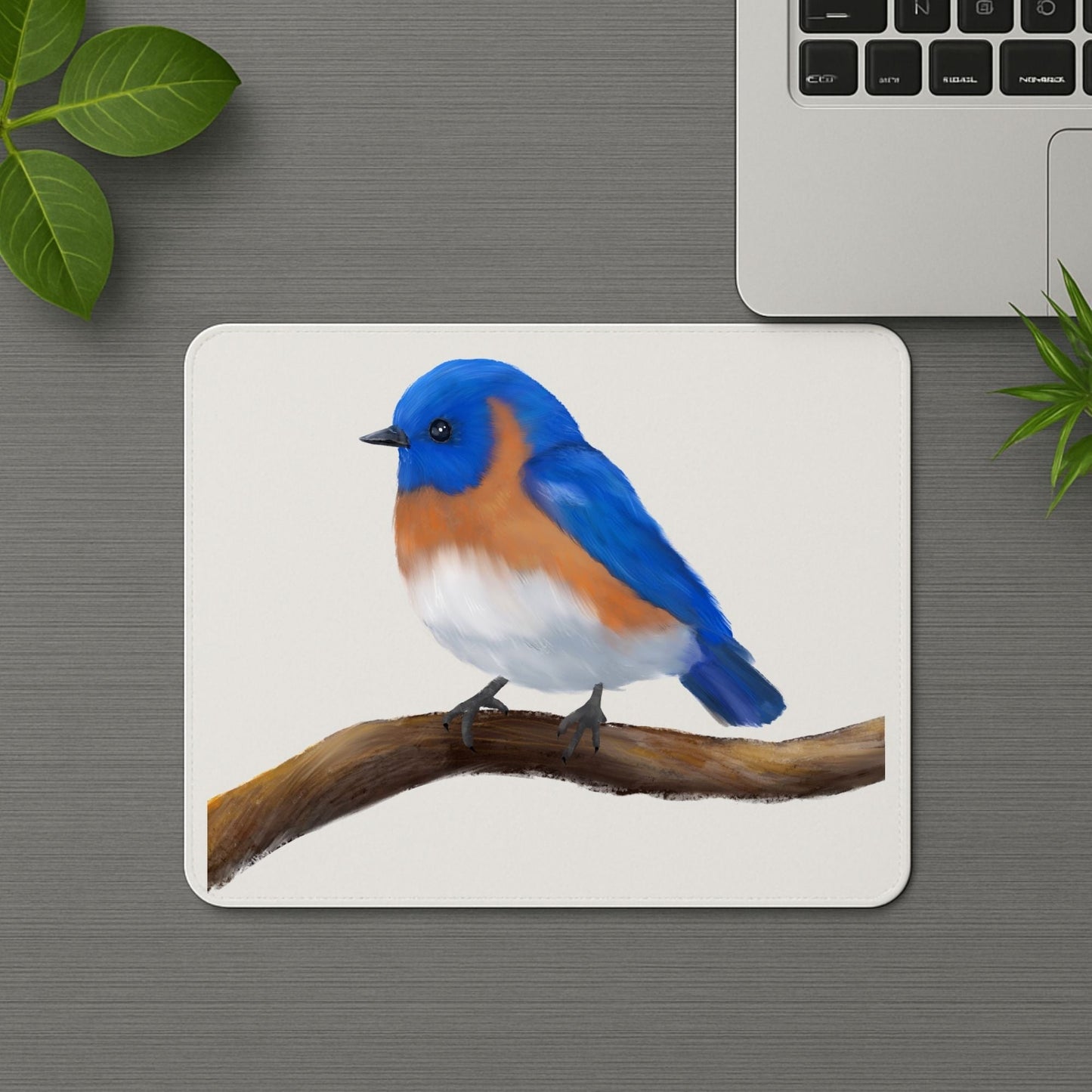 Eastern Bluebird Mousepad - MerikaArt