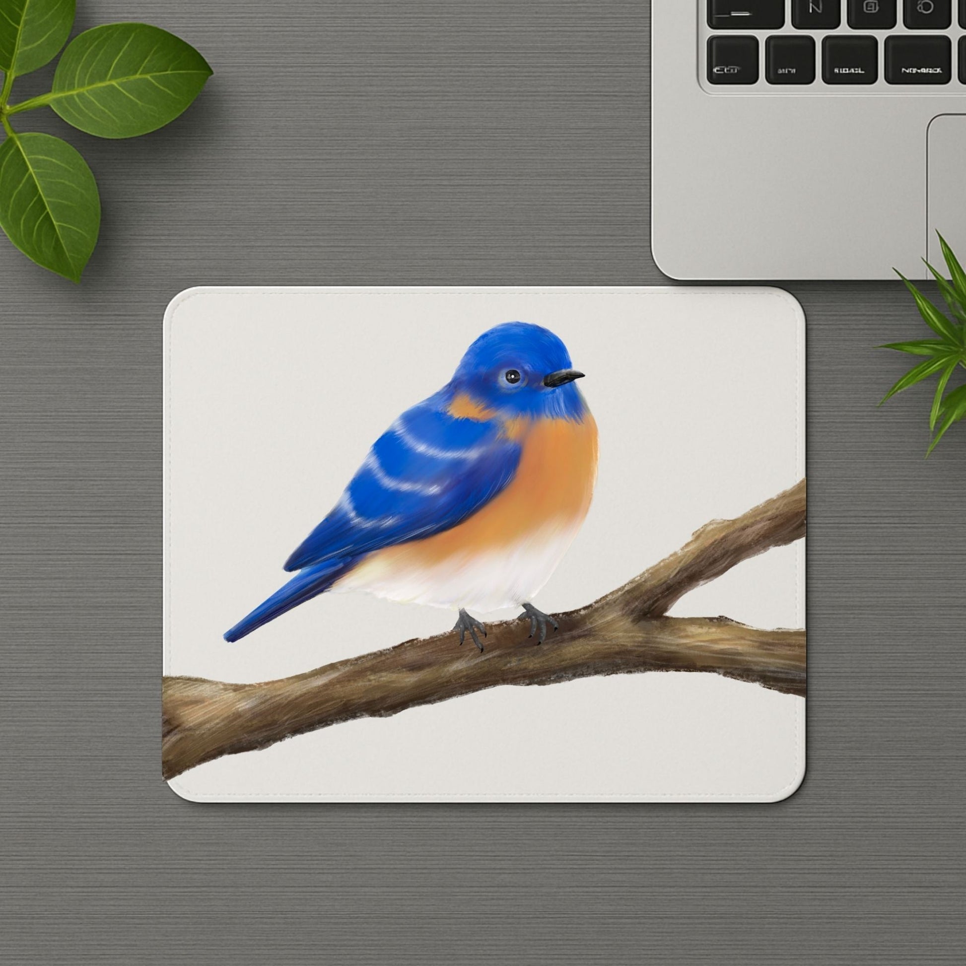 Eastern Bluebird Mousepad - MerikaArt