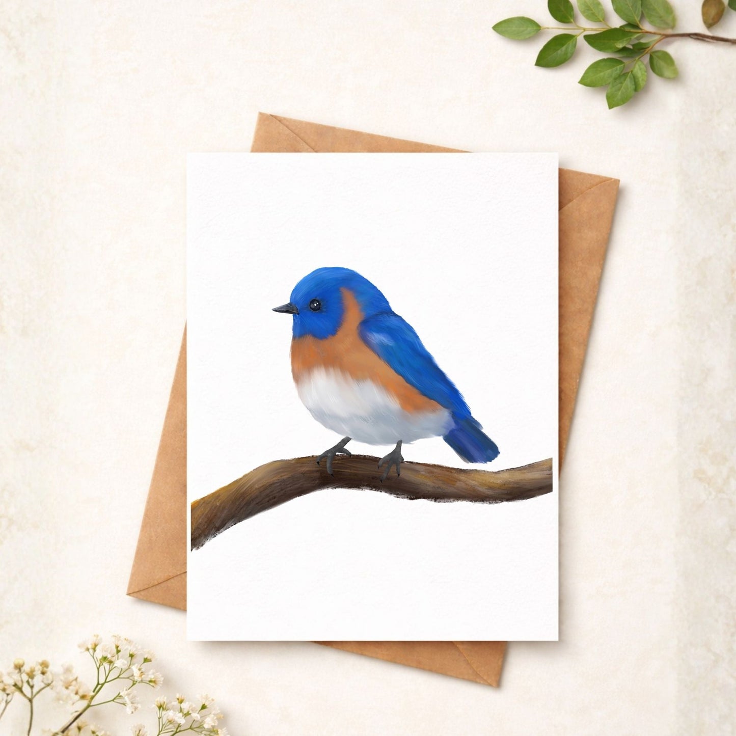 Eastern Bluebird on Branch Postcard - MerikaArt
