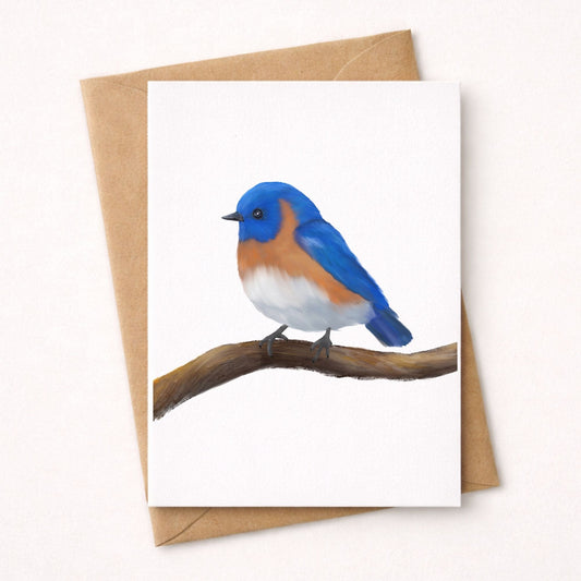Eastern Bluebird on Branch Postcard - MerikaArt