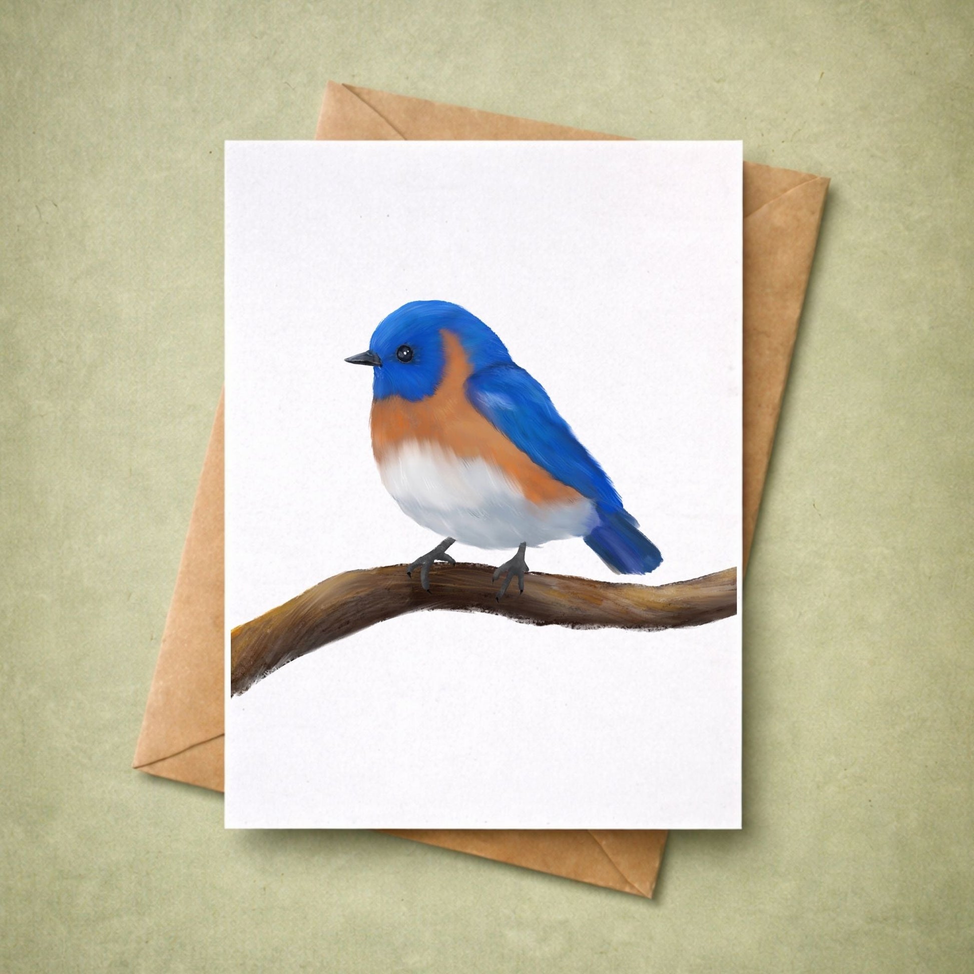 Eastern Bluebird on Branch Postcard - MerikaArt